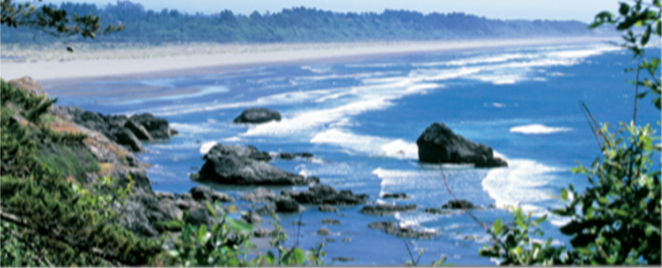 Redwood Payroll Services