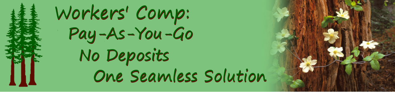 Redwood Payroll Services